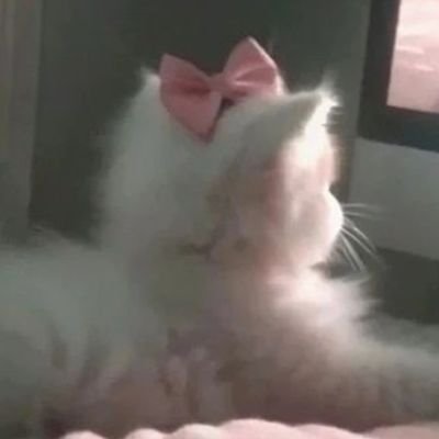 its_katy00 Profile Picture