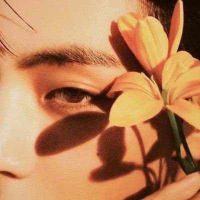 curiousflwer's profile picture. for; baby star candy and curious flower petal