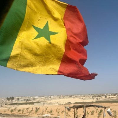 Mikkara_'s profile picture. 