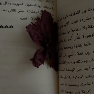 مُنذ 1427 هجريًا .. ولدت أجمل أميرة بالعالم 👑 @mynovemver_