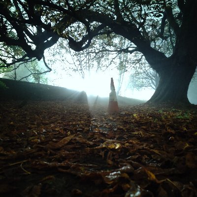 Pk0_photo's profile picture. Spoopy month go brrrrrt :3