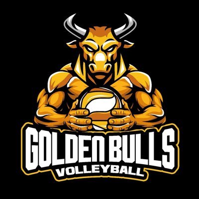 Goldenbullvb's profile picture. “🏐 Goldenbulls Volleyball Academy | Where champions are crafted with grit and gold. 🏆 Building future stars one serve at a time. ⚫🟡 #BeTheBull”