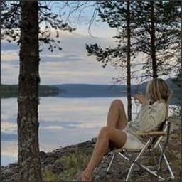 pointabant40083's profile picture. 