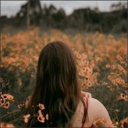 shamraiz9227899's profile picture. 