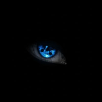 err_cod's profile picture. Kendisini ülkesine adamış