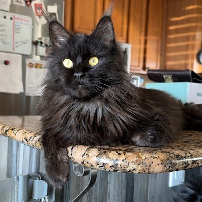 diane_s45647's profile picture. 