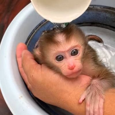 WDorde12122's profile picture. Available for any🙊🙉🙈😺😸😹🐕🐒