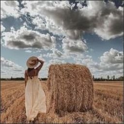 yglawcoom46676's profile picture. 