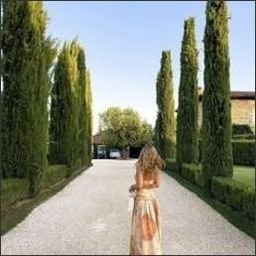 oowhiebir85924's profile picture. 