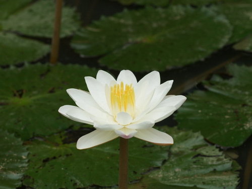 4EnquiringMinds's profile picture. 