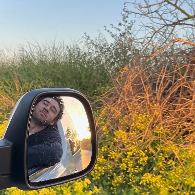 hmslava's profile picture. early bird with a nice hair
