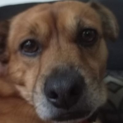 valverdero76's profile picture. Como el corazón