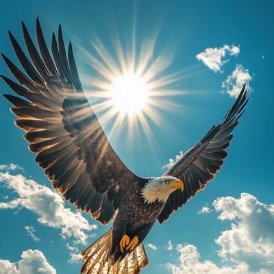 Entrepreneur visionnaire et sensible, déterminé à bâtir des projets solides avec passion, loyauté et authenticité.      Et ma réussite ne dépend que d'Allah »