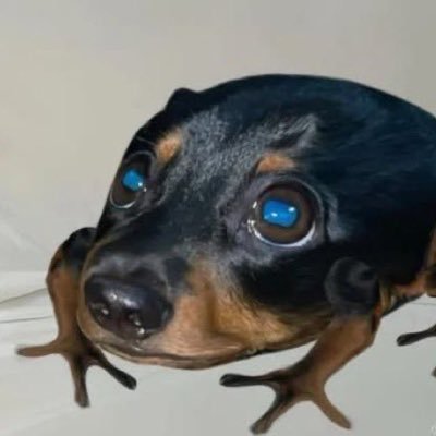 TricksTheBoy1's profile picture. 26y - RJ - little ducks 🦆 Fã número 1 da Vick keep moving forward https://t.co/4qQPbZd66z