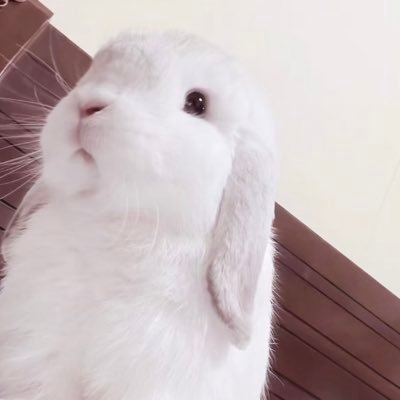 不要关注我了