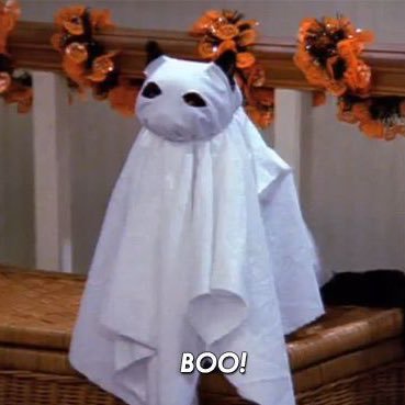 thekhurnbook's profile picture. He/Him. Happy, free, confused and lonely in the best way. 🏳️‍🌈 🇮🇨