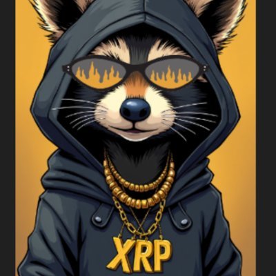 racoxrpl's profile picture. Blasting through $XRP with RACO! Racoons are cool, and so is our mission to supercharge #Crypto with Ripple speed! 🦝