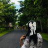 TheFire_19's profile picture. 