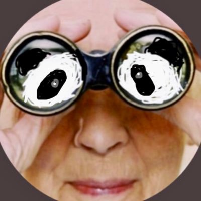 gooogooodoll's profile picture. not the real Dr. Jane Goodall IRL, but u won’t blv it… researcher of shield brothers; ePandas, ePenguins, and eGoblins in their natural habitat