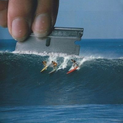 wldndfree's profile picture. Surfing is God's reason for Earth.
