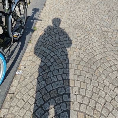 Aflah02101's profile picture. Research Software Engineer @mpi_sws_ • OSS @AiEleuther • Prev @GoldmanSachs @lcs2lab GSoC @TensorFlow @IIITDelhi '24 • RT≠Endorsement #PERMANENTCEASEFIRENOW🕊️