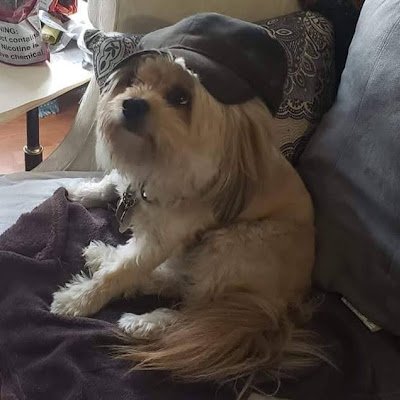 ScottStins95124's profile picture. 