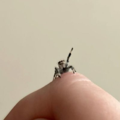 Eightf0ldMusic's profile picture. i make music