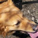 Bart Hill - @Bart_Hill - Twitter