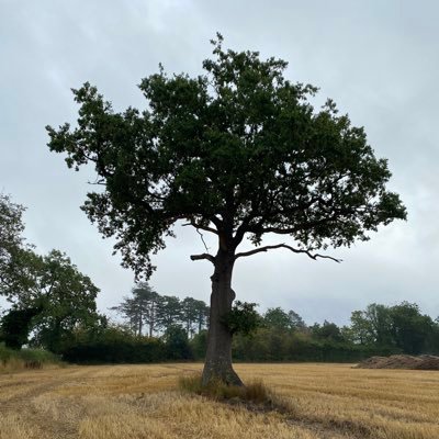 ‘Standards of thinking are being imposed on people at a time when the distinction between genuine/fake seems to have been abolished’ - Pope Benedict