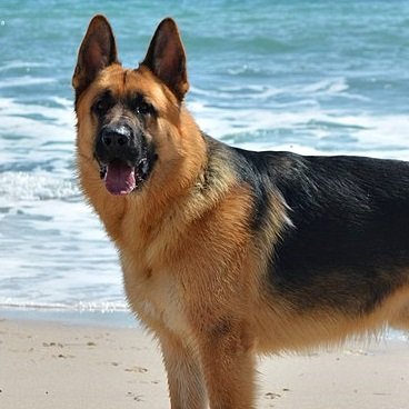 JLYNGU's profile picture. 