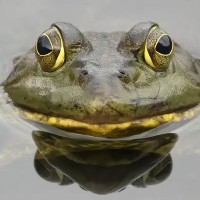 StathopoulosAnd's profile picture. AI Engineer LinkedIn : https://t.co/WNGvHoFlDJ