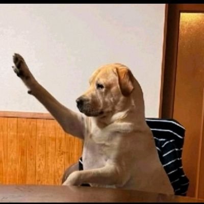 Alii_Crr7's profile picture. 