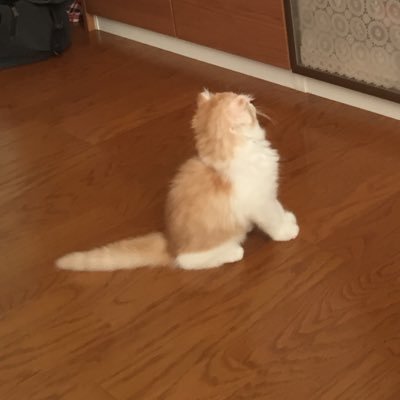 r_skow32's profile picture. 