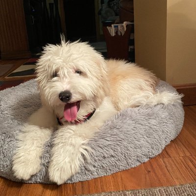 solRick74's profile picture. 