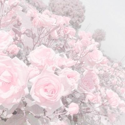 shiyunn_00's profile picture. STPR🍓💛（🍓❤️、️🩵 、🩷️）／WINDBREAKER🫖（👑、🌸）／prsk☕️（🥞）中心の取引垢 買取はPayPayのみ