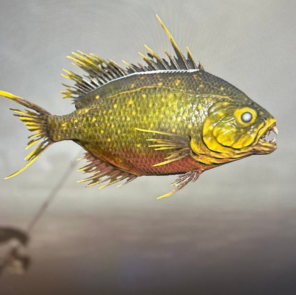 SolanYaeger's profile picture. 