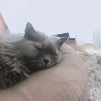 minami (@mi_mini17) 's Twitter Profile Photo