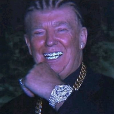 Aurelian987's profile picture. I take orders from Jesus Christ and Donald Trump. In that order. #GOPACKGO