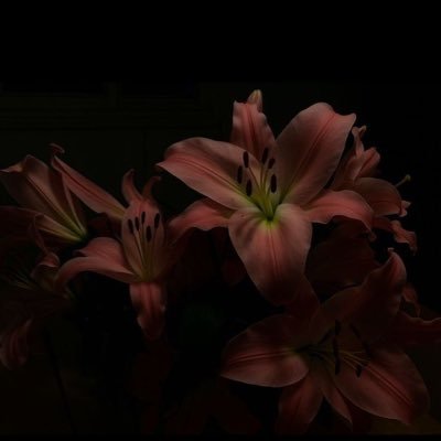 jwryjwr51889318's profile picture. GoR