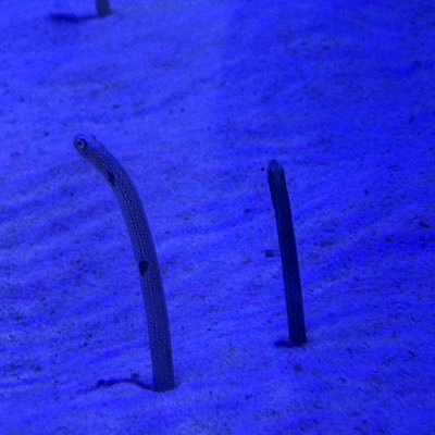 minimini_rem's profile picture. 