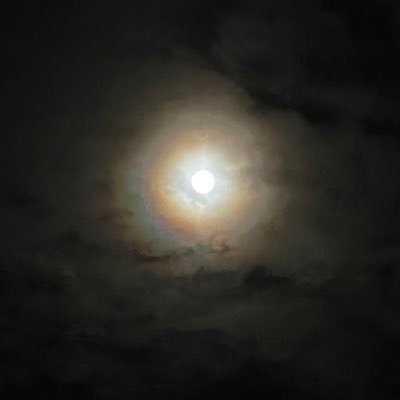 hoplightly's profile picture. 