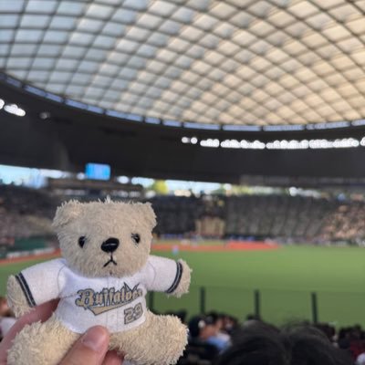 TajimamireLife_'s profile picture. 03￤Bs🐮13 29 30￤くまを連れてお出かけしています