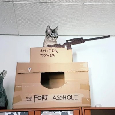 YoYoMaMa5859's profile picture. 🇺🇸Disrespecting Veterans is NEVER ok🇺🇸
🇺🇸 Restore the Republic 🇺🇸
🔎Foreign Service by training - 🏥Healthcare by default
OSU Alum/Go Bucks❤️🩶🏈
🚫DMs