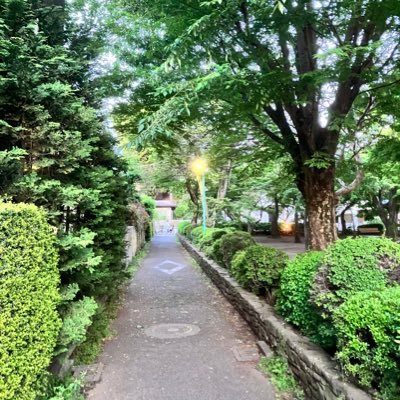 Kyonan_Genjin's profile picture. 2019年から武蔵境に住み始めてやっと落ち着いてきたこの頃。日常を綴ります。