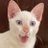 OktapianiRina's profile image