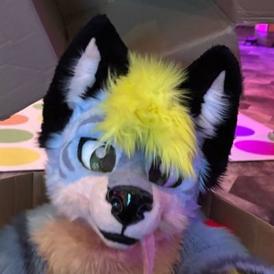 Caertha1's profile picture. ⚠️⚠️ LICKS AND NIBBLES A LOT ⚠️⚠️

                    🐾fursuiter🐾
