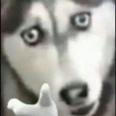 Shadows4748's profile picture. ไว้ลงงาน 18+ 
งานวาด 18+ 
จะวาด Hee วาด Kuy