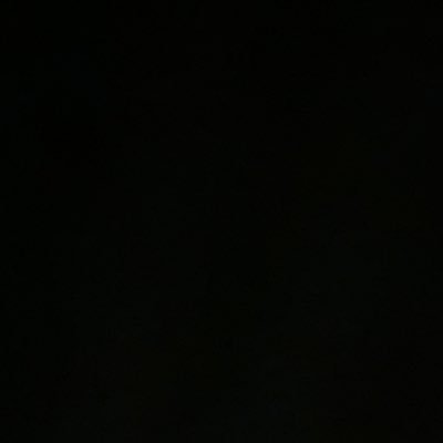 NicandroVe82371's profile picture. 