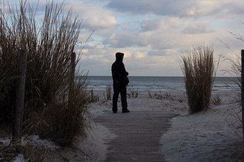 mp_sarrao's profile picture. 