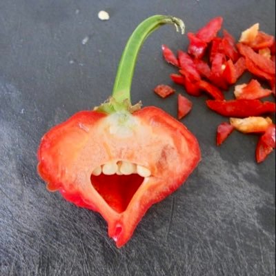 Ms_Maeven's profile picture. "The most beautiful stones have been tossed by the wind, washed by the water and polished to brilliance by life's strongest storms" -unknown